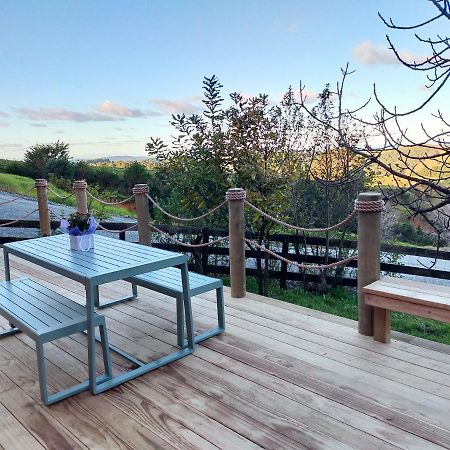 Secluded, Private Rural Retreat Mins From Warkworth -"Avondale" Minihouse Exterior foto